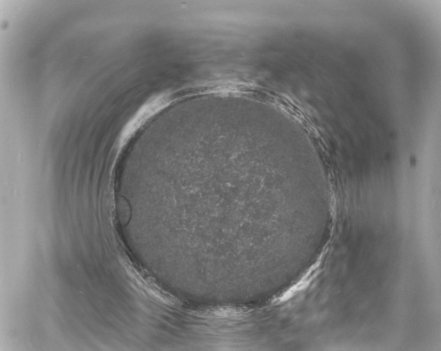 X0000060810198200511141515