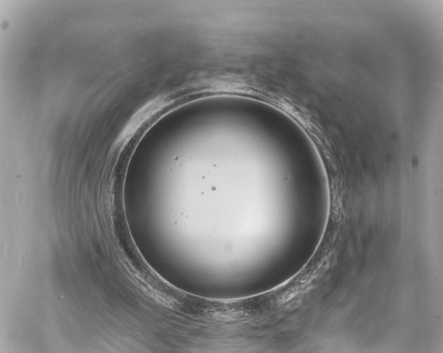 X0000060810199200511141515