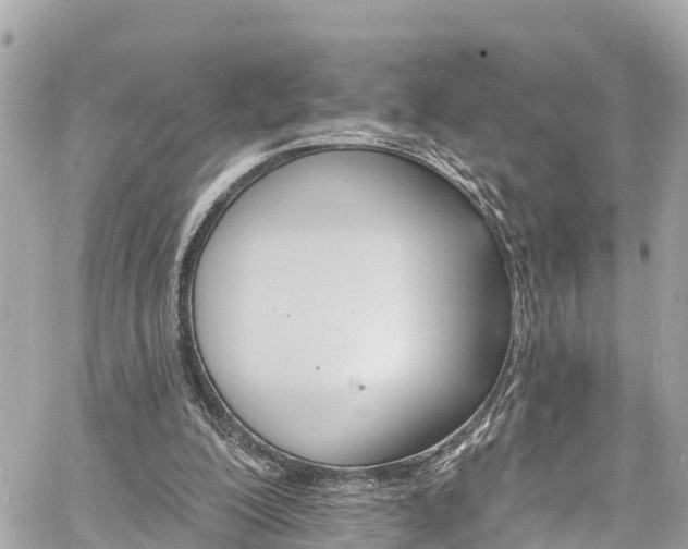 X0000060810200200511141515