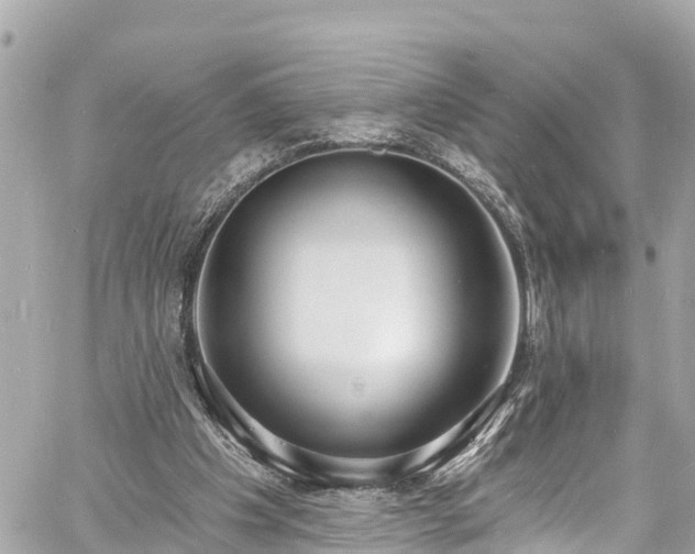 X0000060810201200511141515