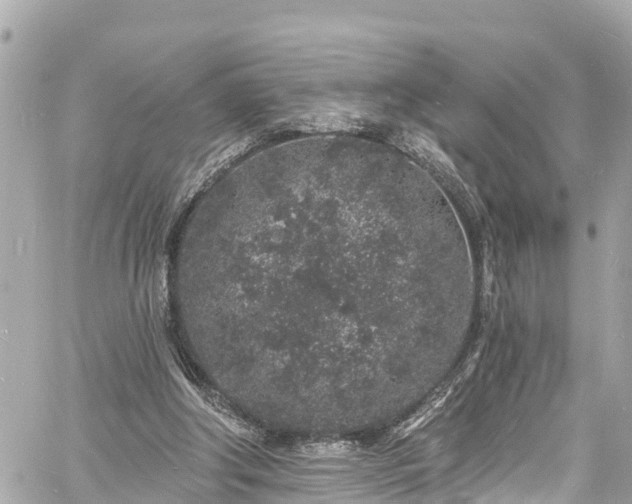 X0000060810202200511141515