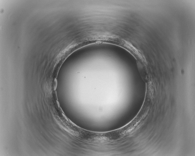 X0000060810203200511141515