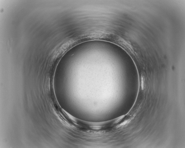 X0000060810205200511141515