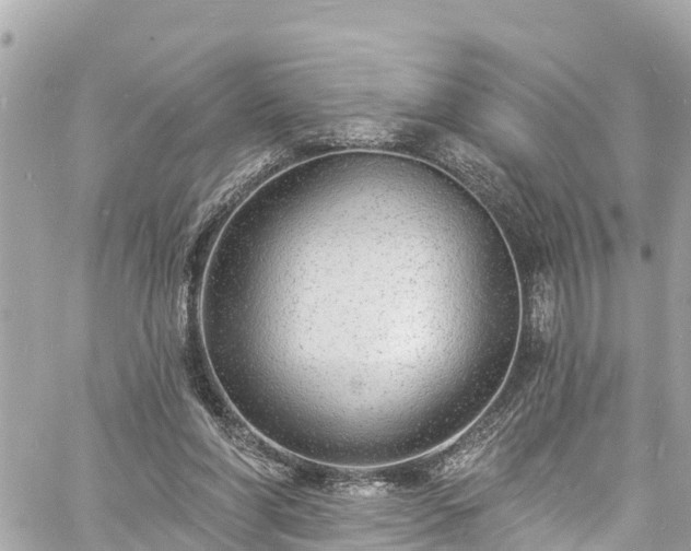 X0000060810206200511141515