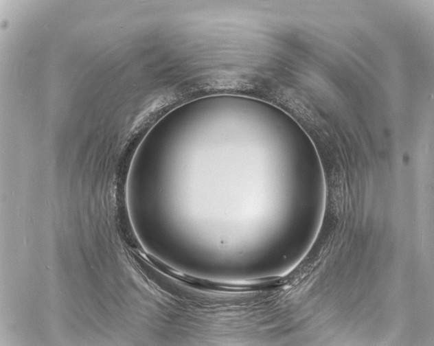 X0000060810207200511141515