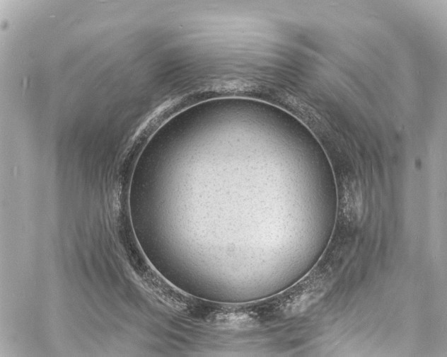 X0000060810208200511141515