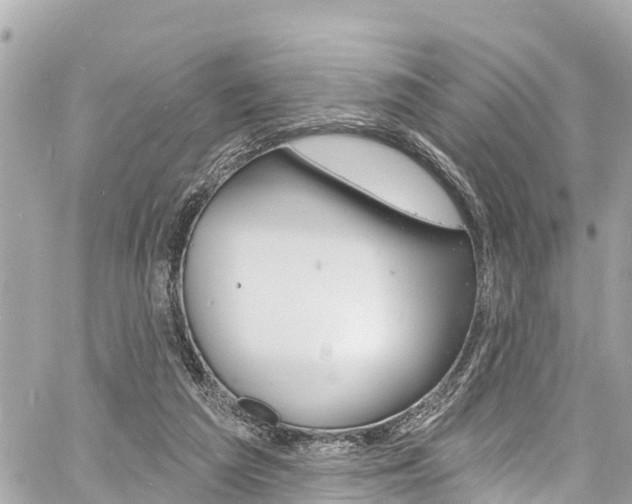 X0000060810209200511141515