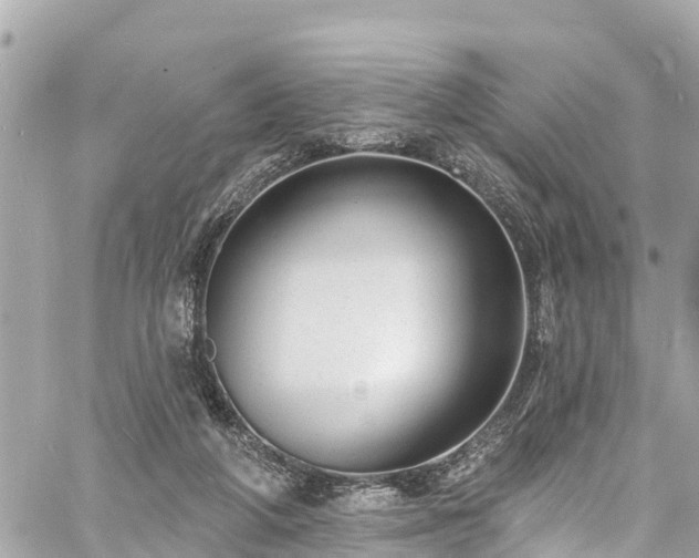 X0000060810210200511141515