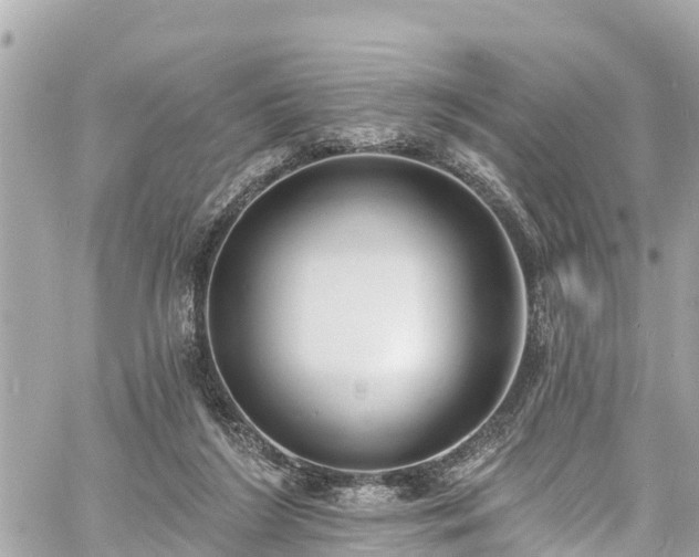 X0000060810212200511141515