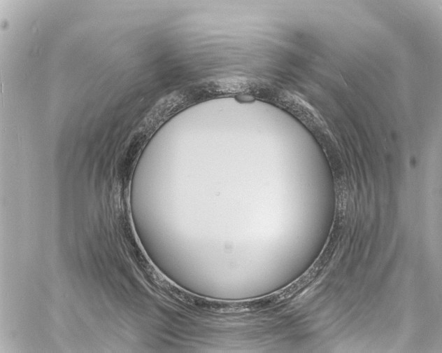 X0000060810213200511141515