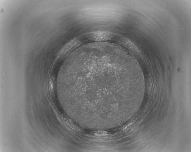 X0000060810214200511141515