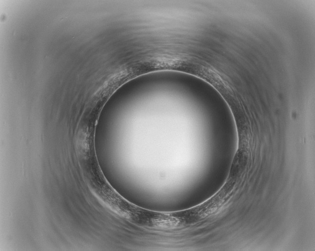 X0000060810215200511141515