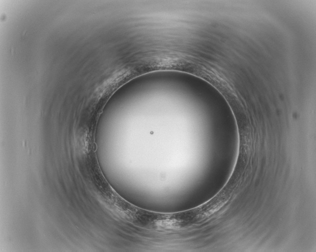 X0000060810216200511141515