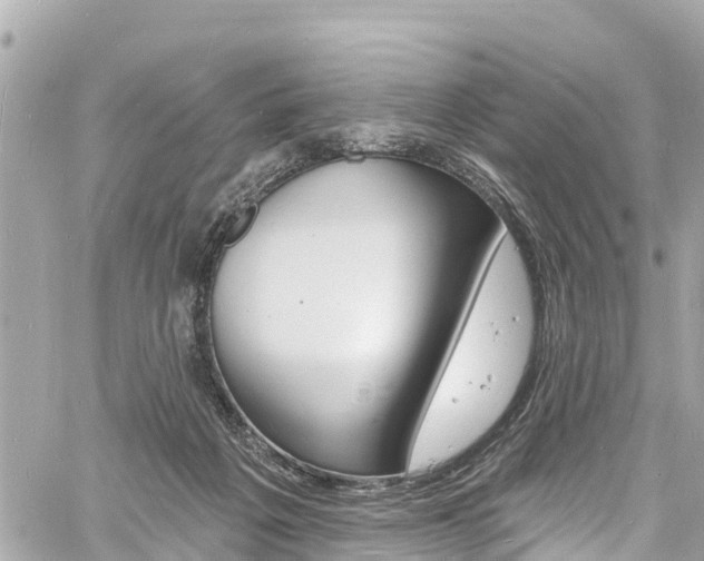 X0000060810217200511141515