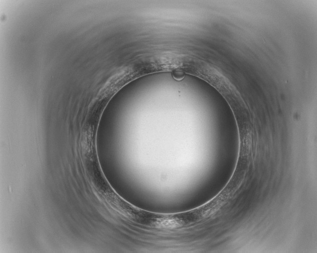 X0000060810218200511141515