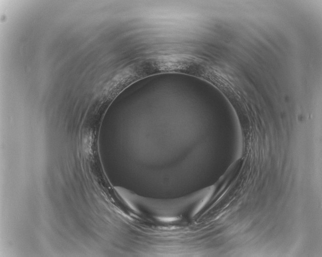 X0000060810219200511141515