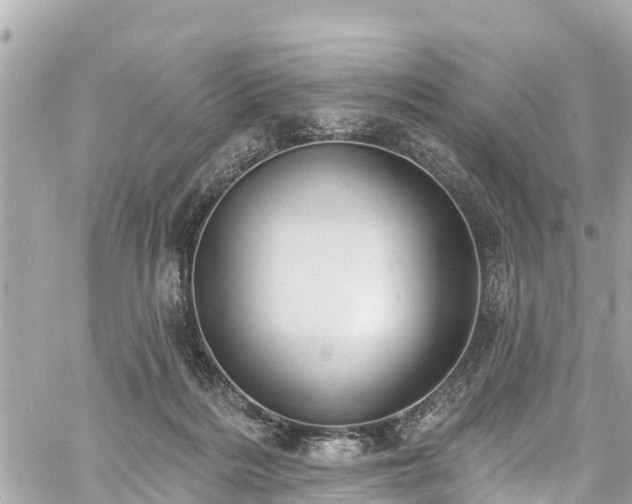 X0000060810220200511141515