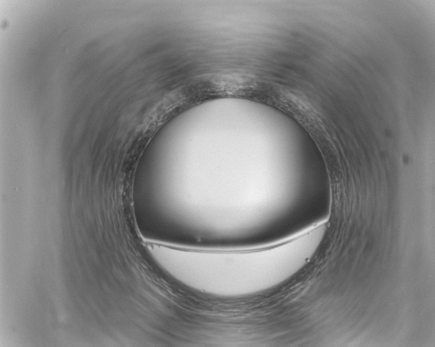 X0000060810221200511141515