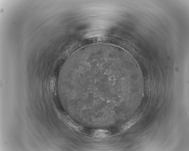 X0000060810222200511141515