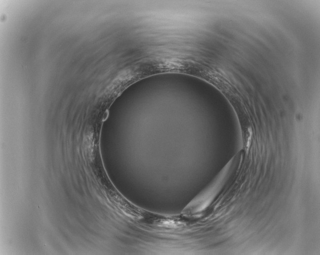 X0000060810223200511141515