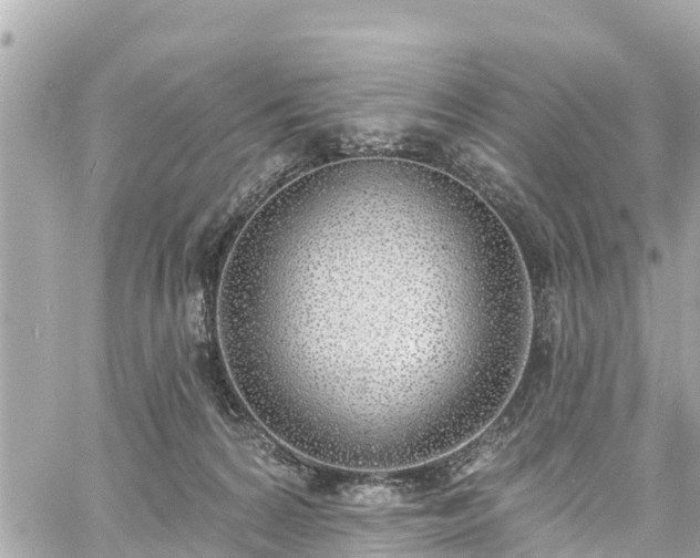 X0000060810224200511141515