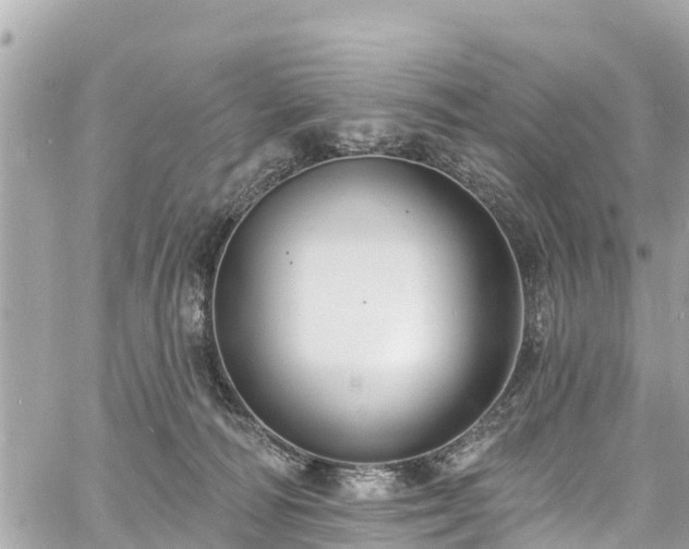 X0000060810226200511141514