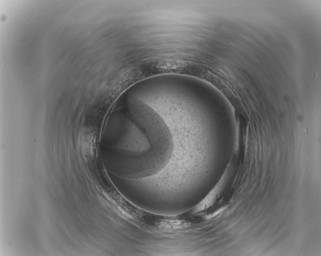 X0000060810227200511141514