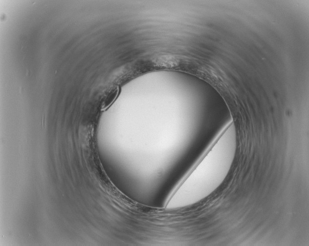 X0000060810229200511141514