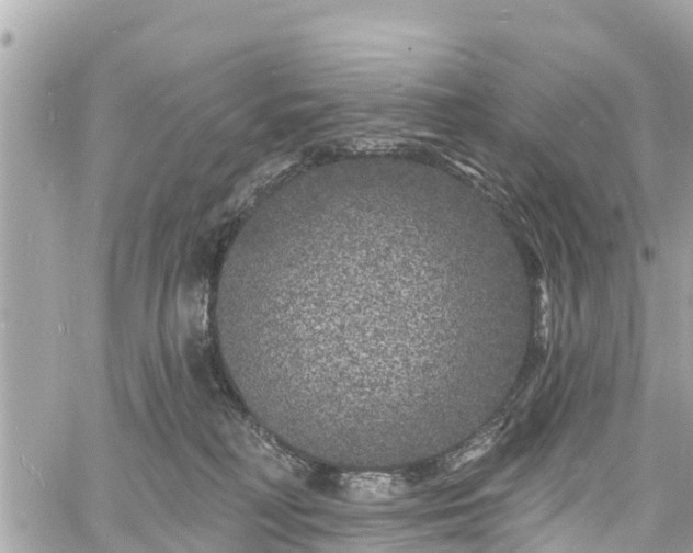 X0000060810230200511141514