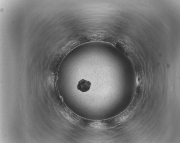 X0000060810231200511141514