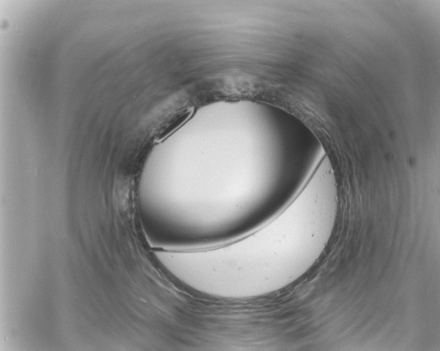 X0000060810233200511141514