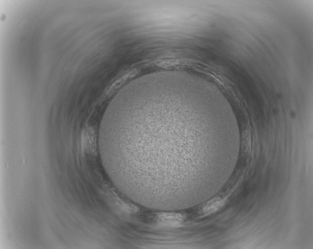 X0000060810234200511141514