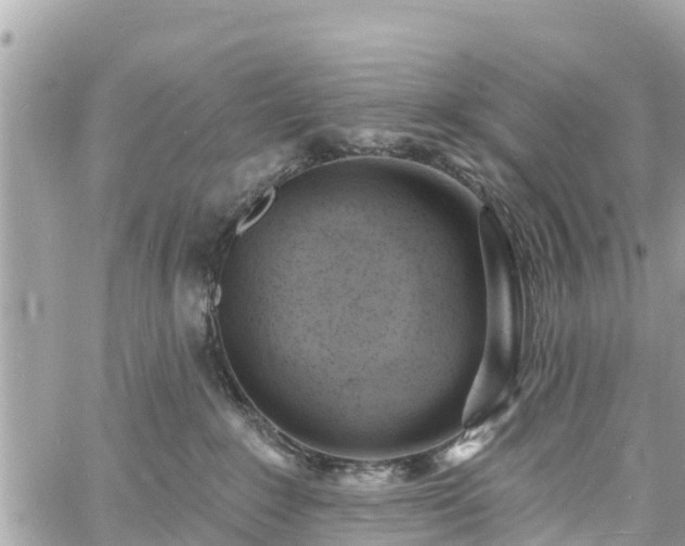 X0000060810235200511141514