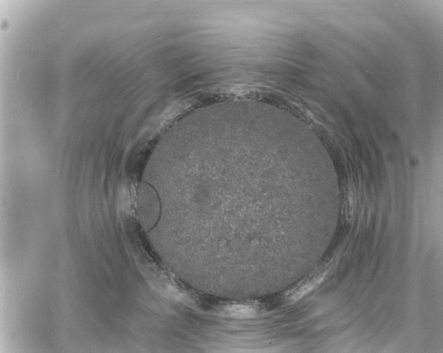 X0000060810236200511141514