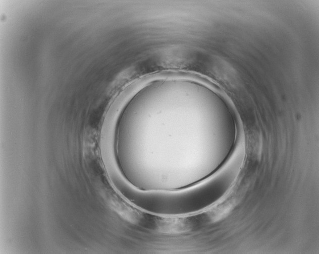 X0000060810237200511141514