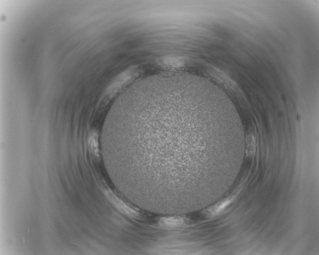 X0000060810238200511141514