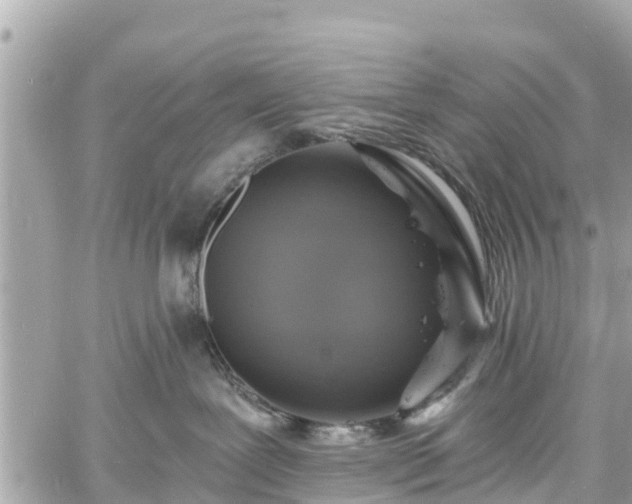 X0000060810239200511141514