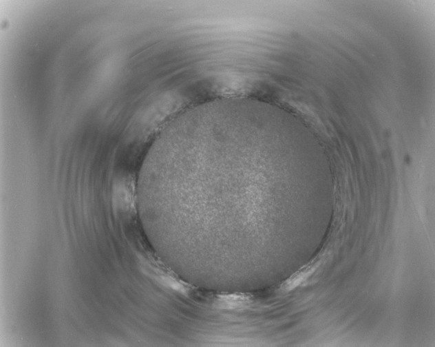 X0000060810240200511141514