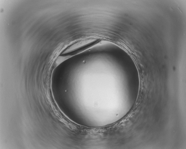 X0000060810241200511141513