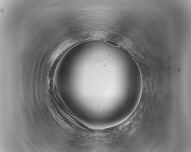 X0000060810242200511141513