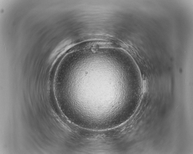 X0000060810243200511141513