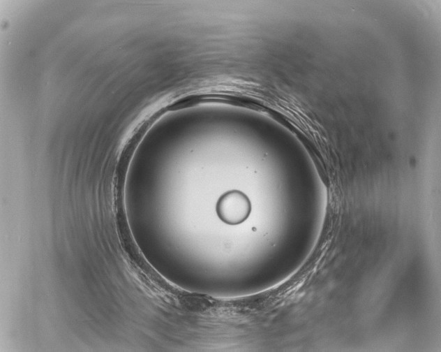 X0000060810244200511141513