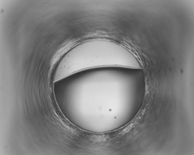 X0000060810245200511141513