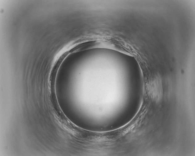 X0000060810246200511141513