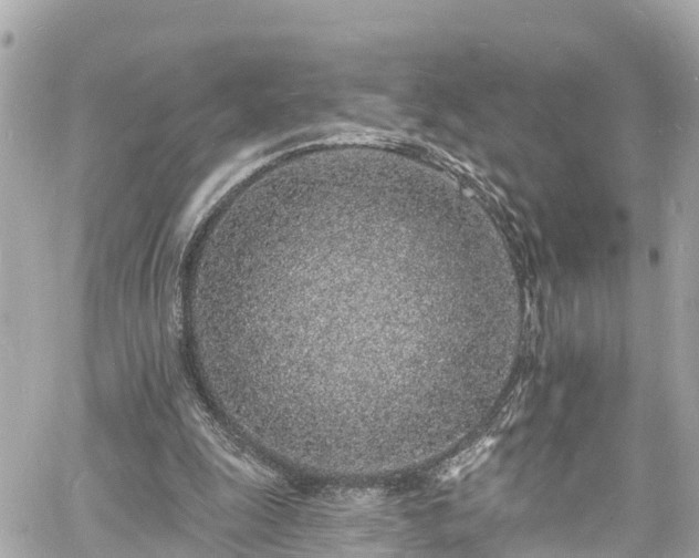 X0000060810247200511141514