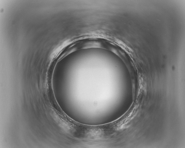 X0000060810248200511141514