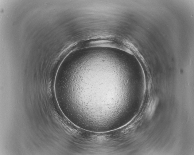 X0000060810249200511141514