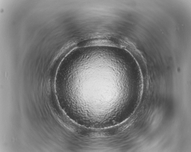 X0000060810250200511141514