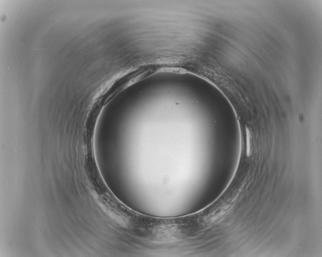 X0000060810252200511141514