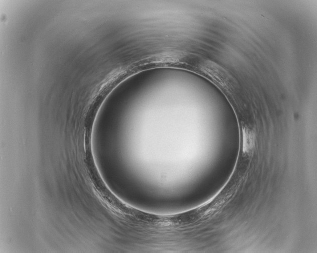 X0000060810253200511141514